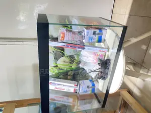 Start Your Aquarium Journey Today – Fully Loaded 2ft Tank