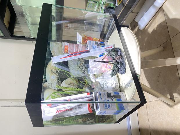 2ft of Tranquility – Aquarium Kit With Fish Decor - main view