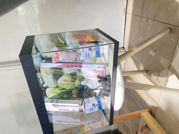 Underwater Elegance – 60l Aquarium With Lights Life