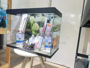 Black Aquarium Masterpiece – Complete 2ft Fish Tank