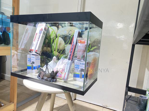 Black Aquarium Masterpiece – Complete 2ft Fish Tank