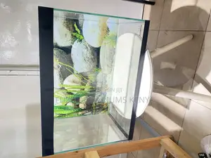 Your Zen Zone – Fully Stocked Aquarium Package