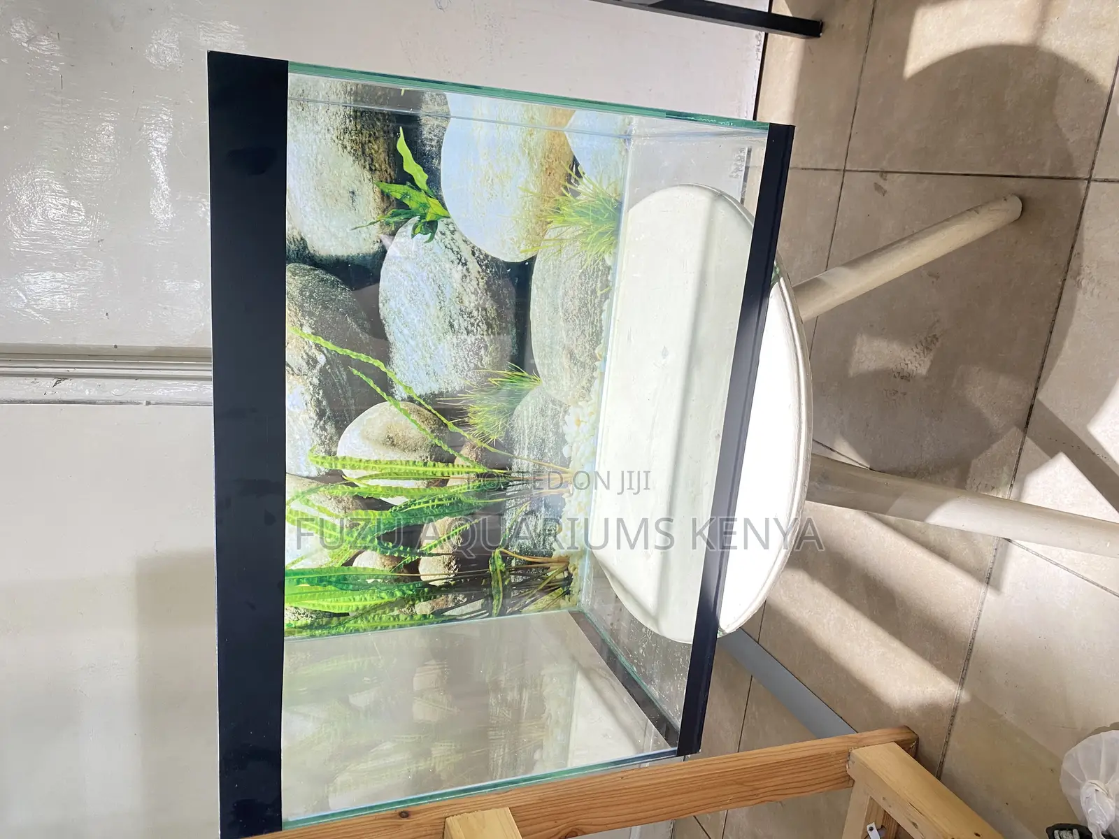 From Box to Beauty – Aquarium Kit With Fish Included