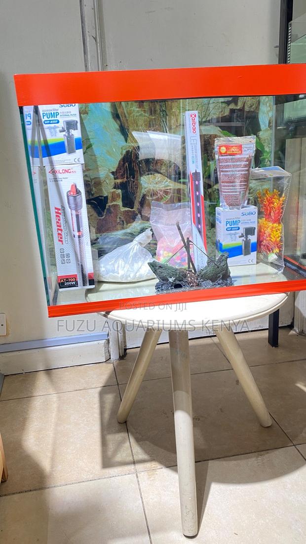 Live Colorfully – 2ft Aquarium With 10 Fish Accessories