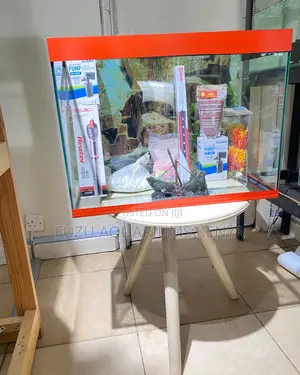 Your Perfect Aquarium Awaits – Complete 60l Kit
