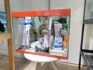 Your Red Aquarium Awaits – Complete 60l Kit