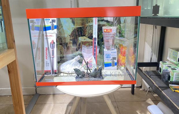 Fishkeeping Made Simple – 2ft Complete Aquarium
