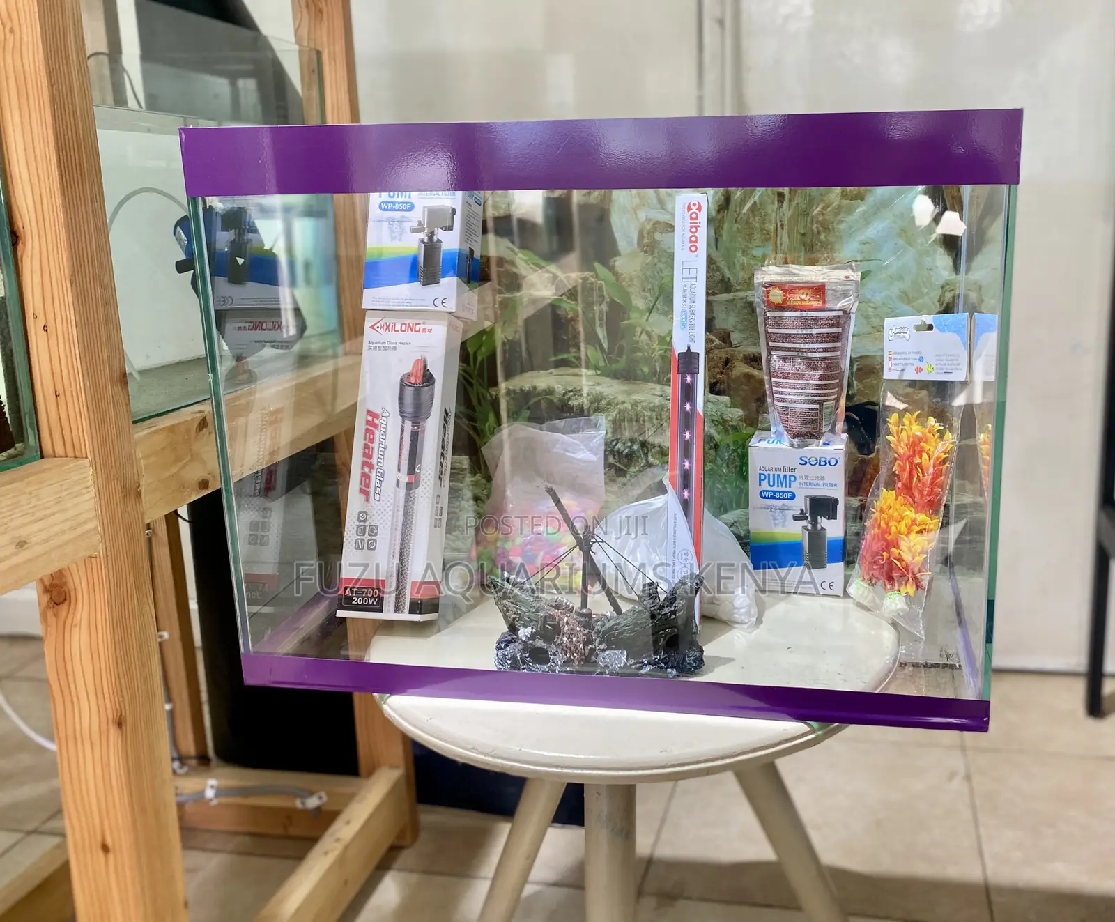 Your First Aquarium, Done Right