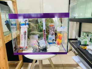 Instant Aquarium Vibes – Filter, Lights Life