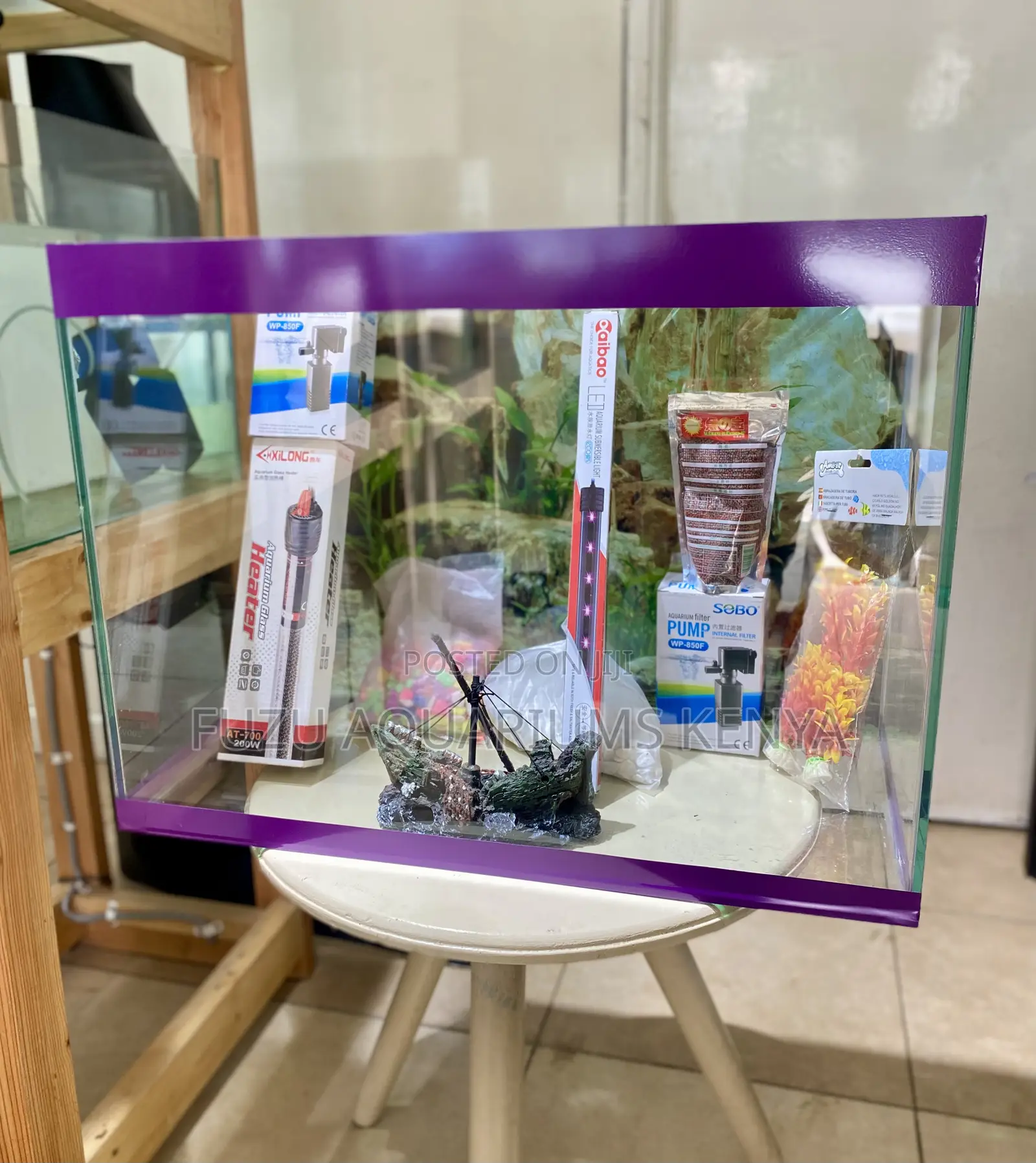 Create Your Dream Aquarium in Minutes