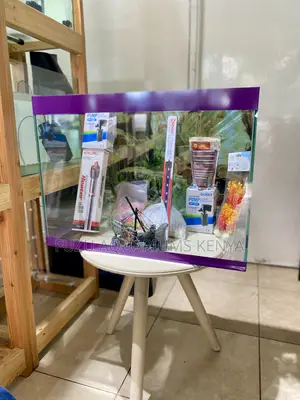 Brighten Your Room With a Splash of Life With This Aquarium