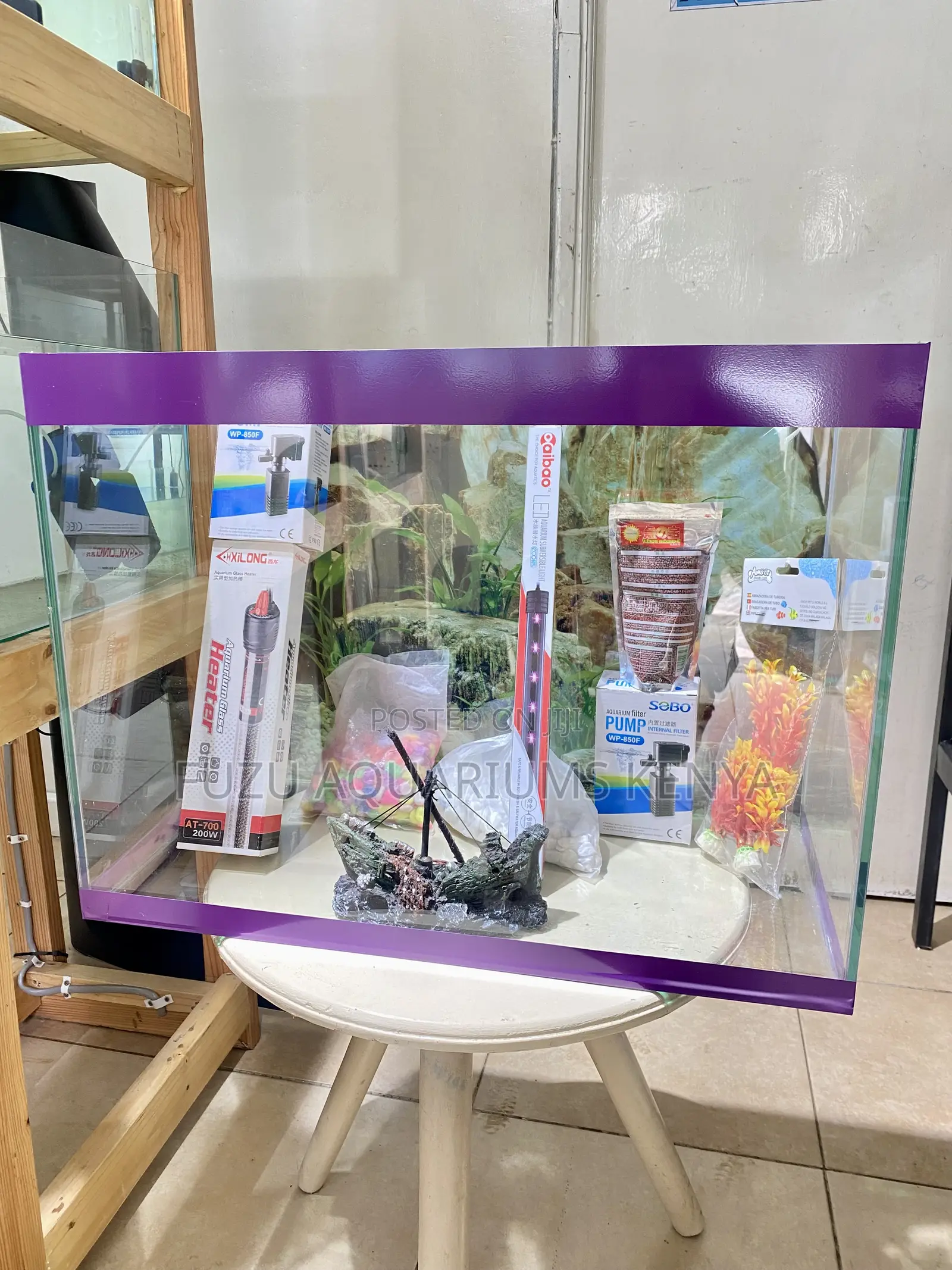 Peaceful Views Daily – Aquarium Kit With Fish