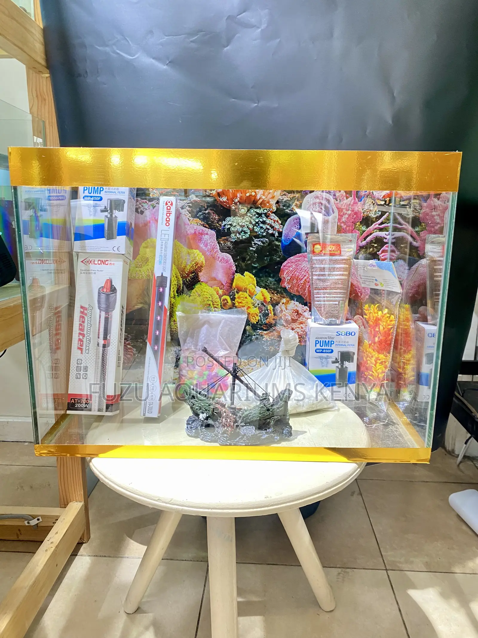 Discover the Joy of Fishkeeping – 60l Aquarium Setup