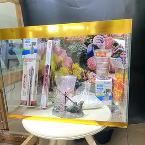 Beautiful Inside Out – Stylish 2ft Fish Tank