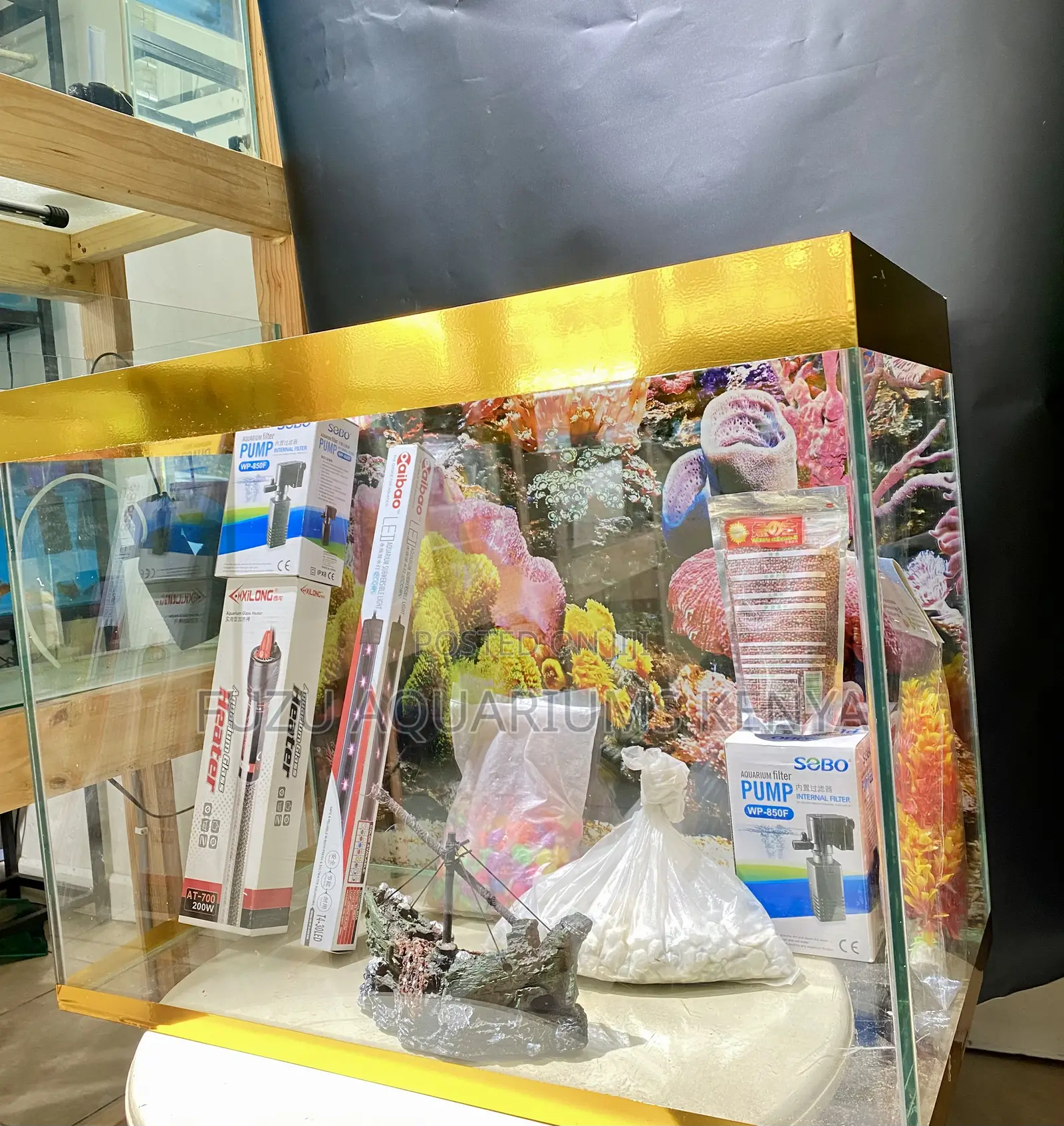 Decorated, Stocked Ready – Just Plug Play Aquarium