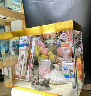 Decorated, Stocked Ready – Just Plug Play Aquarium - thumbnail 2