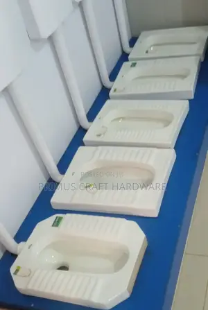 Asian Step Toilets (White) and Cistern