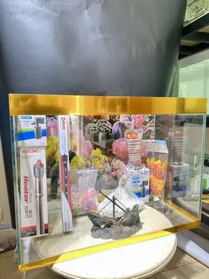 Let Your Imagination Swim – Complete Aquarium Kit