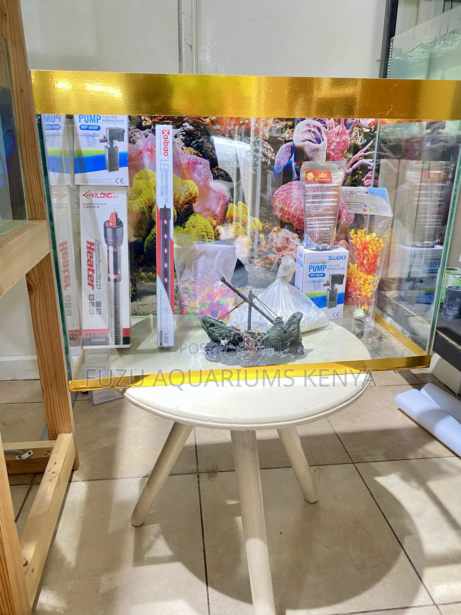 Stylish, Compact Complete – Your Next Fish Tank