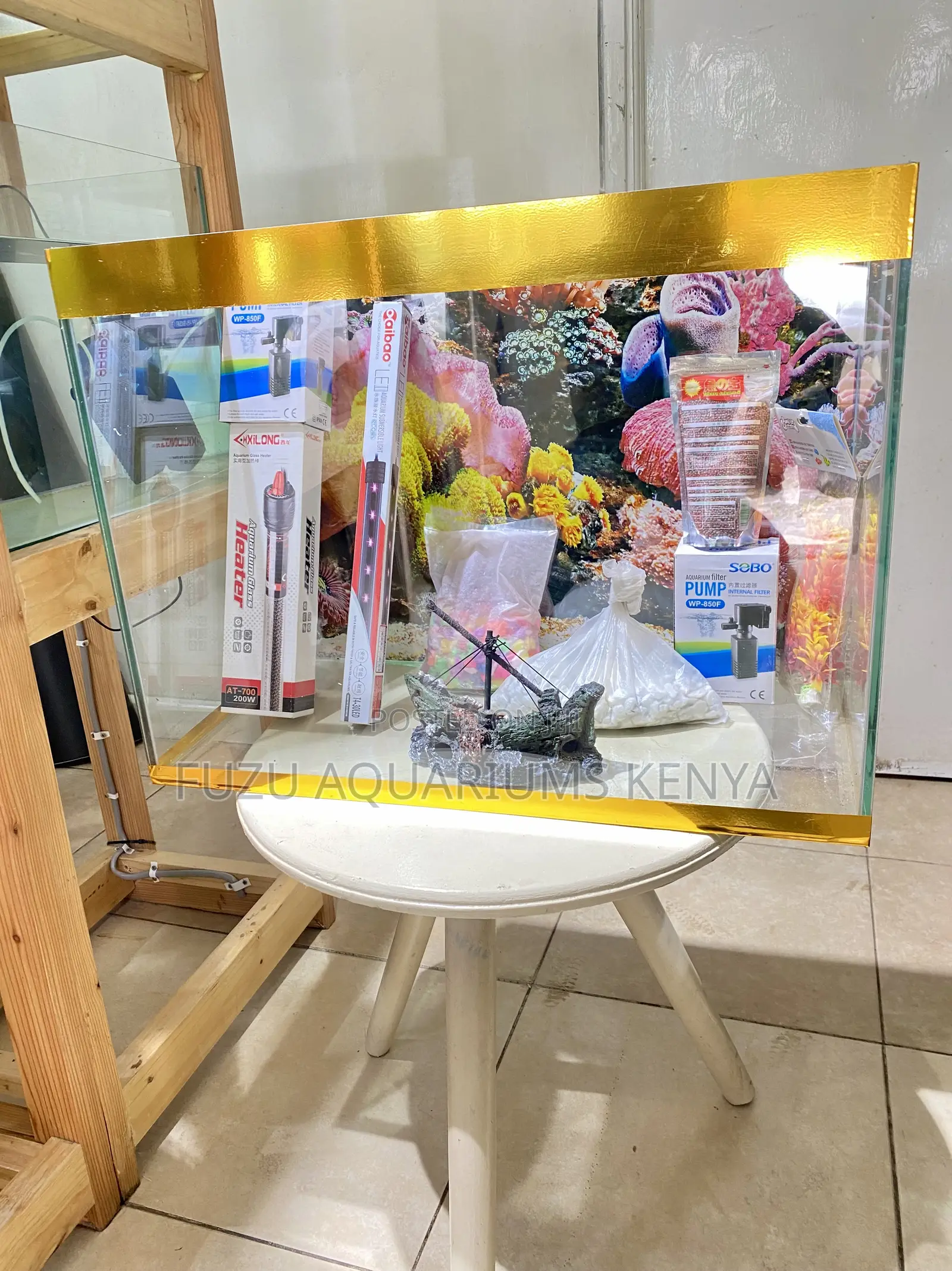 A Colorful World in Glass – 60l Aquarium