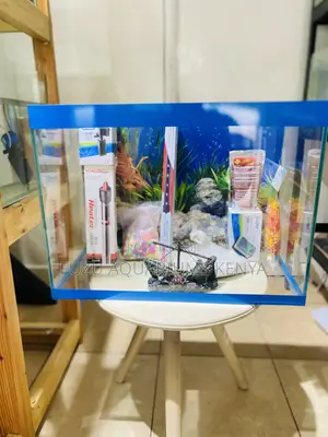 The Aquarium That Does It All