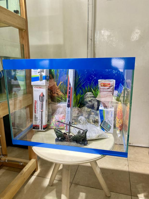 Home Aquarium Magic in 2ft - main view