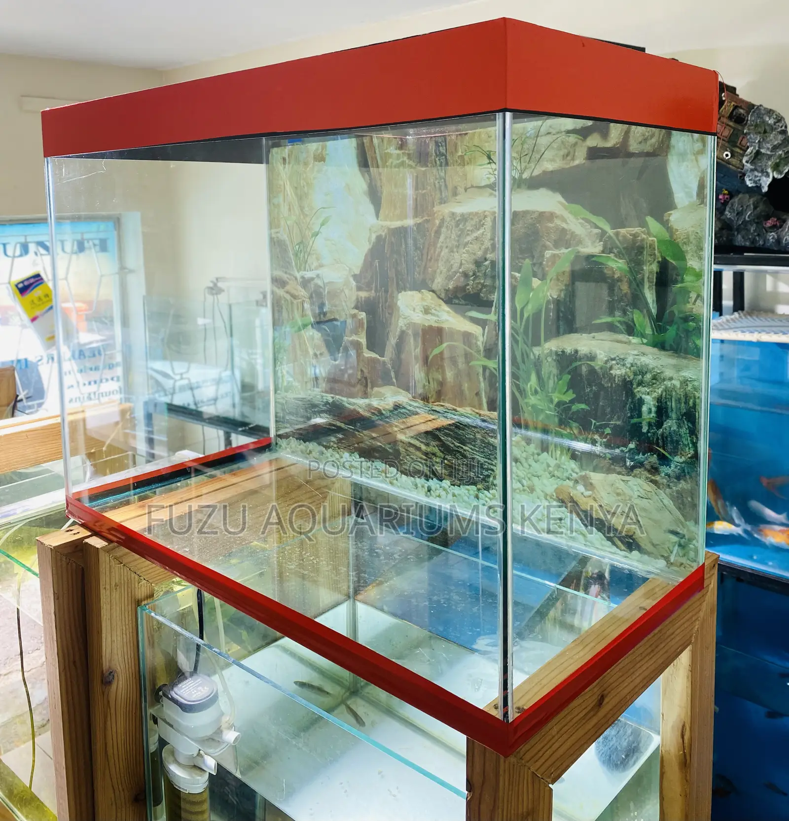 For Fish Lovers Who Want It All, Ideal Aquarium