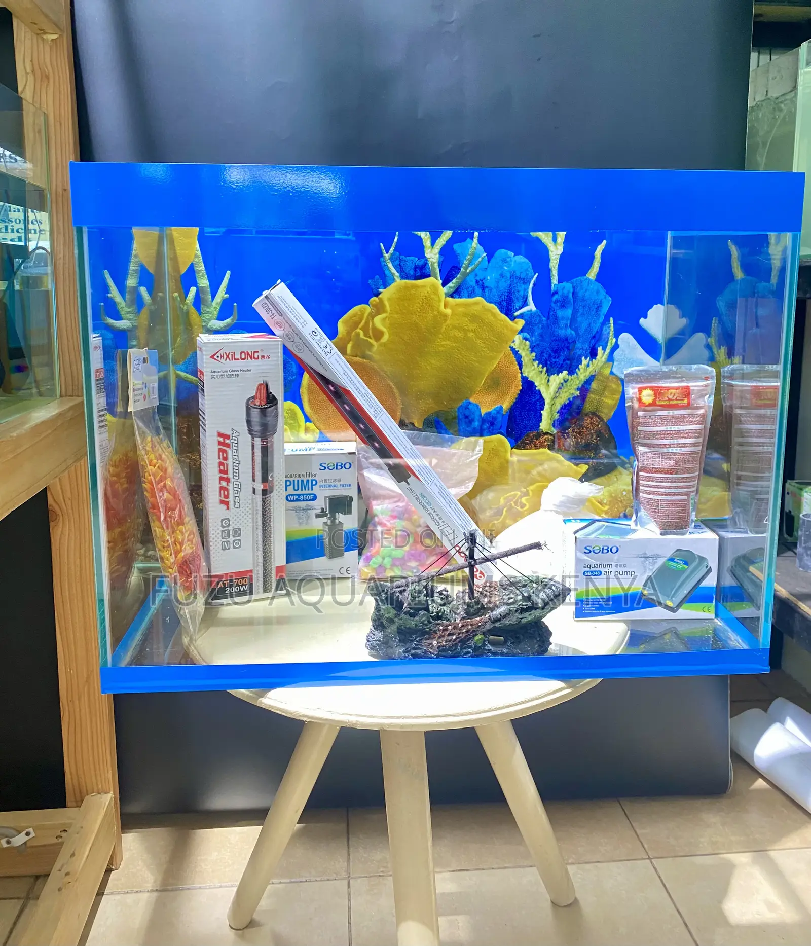 Create an Aquatic Escape With This Blue Themed Aquarium