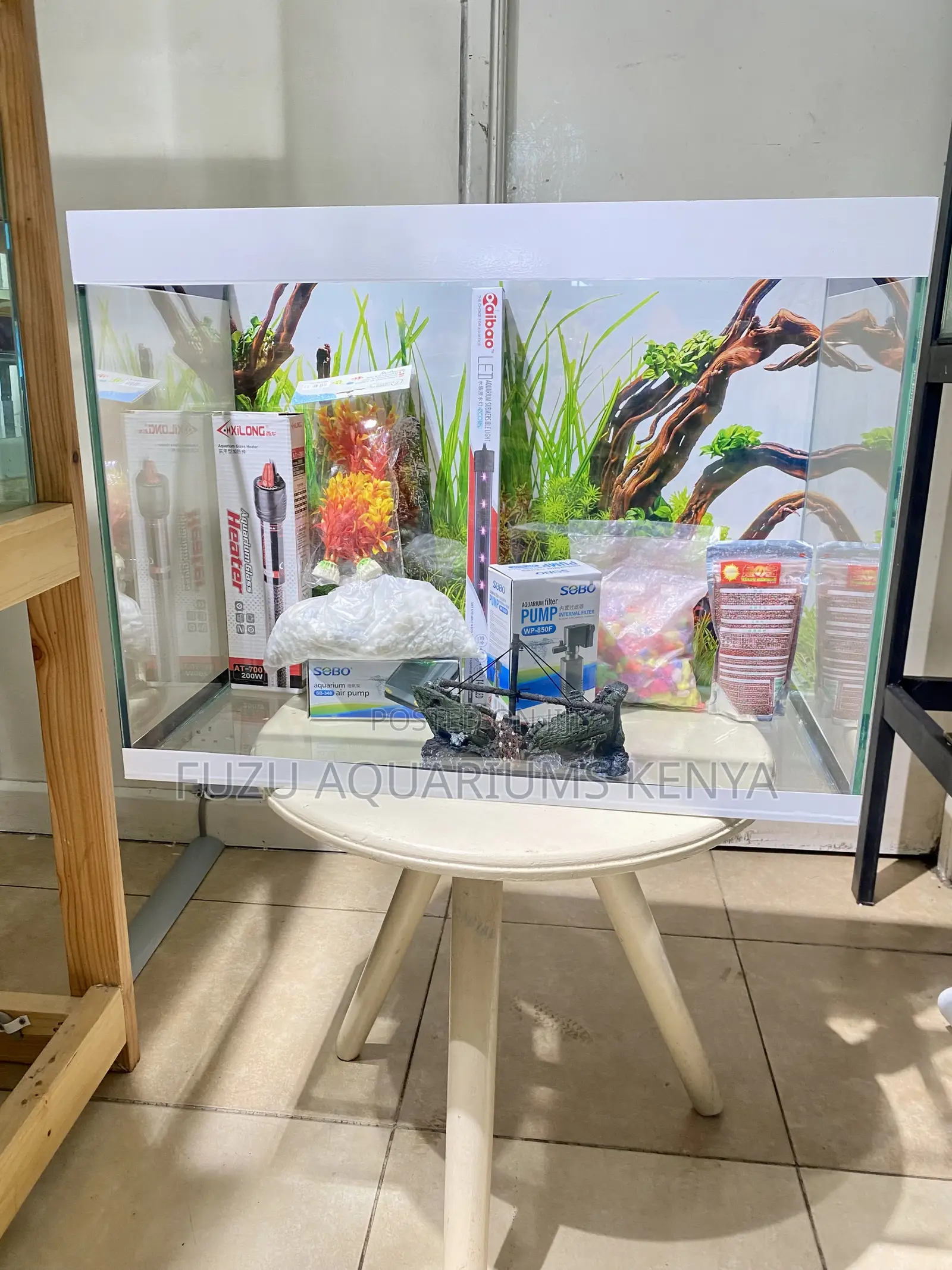 Turn Heads With This White Themed Aquarium