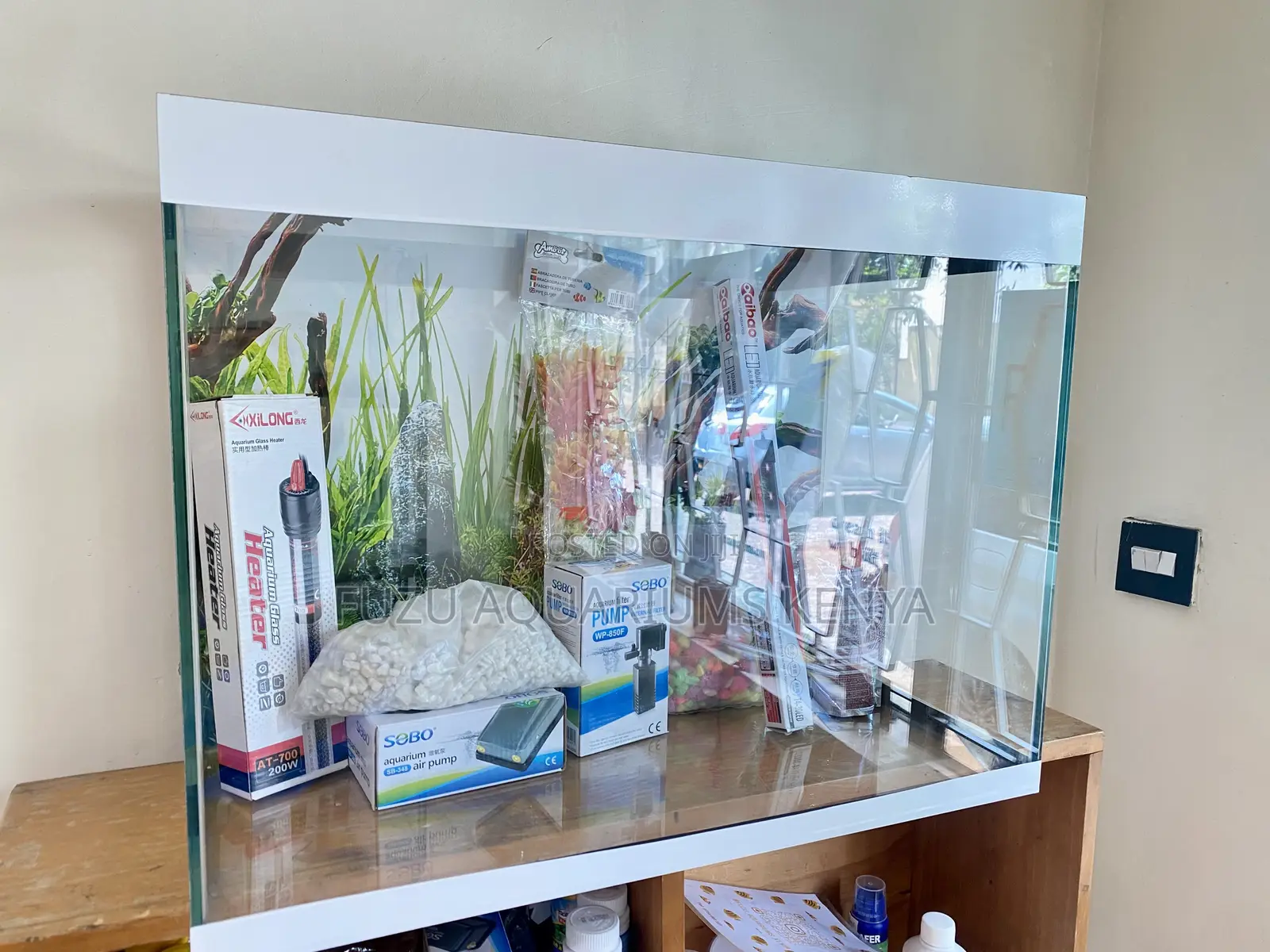 Get Lost in the Bubbles – 60l Aquarium Kit