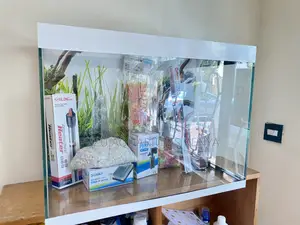 Get Lost in the Bubbles – 60l Aquarium Kit