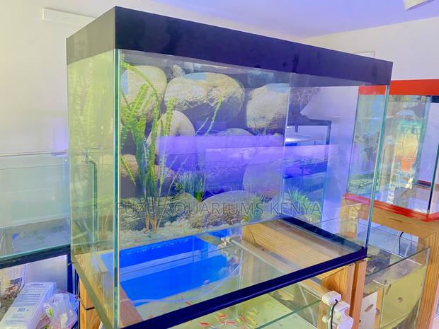 The Aquarium That Changes Everything - main view