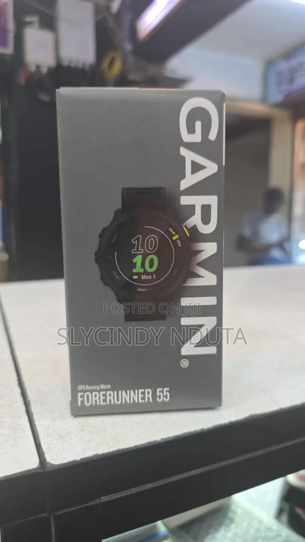 Garmin Forerunner 55 - main view