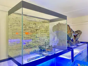 Easy Setup, Endless Joy With This Elegant Aquarium