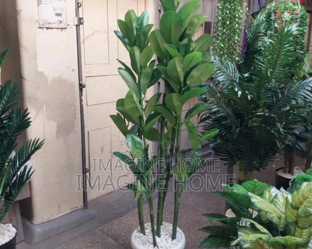 Artificial Plants