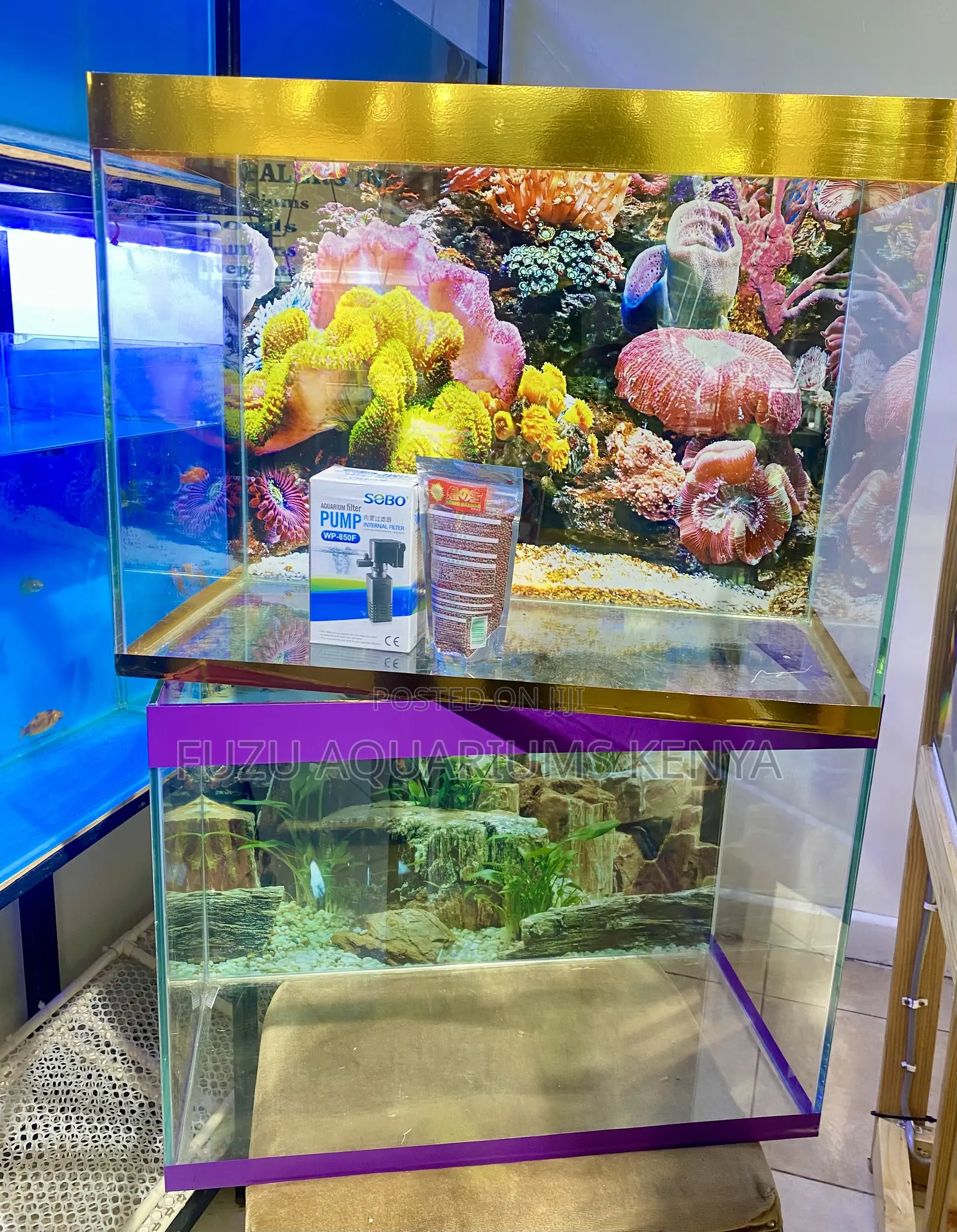 Your Living Room Just Got Livelier, Variety of Aquariums