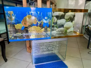 Perfectly Crafted Aquariums Readily Available