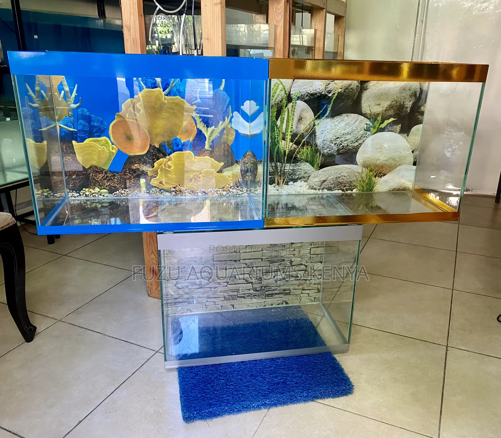 Home Décor That Swims 2ft Aquarium