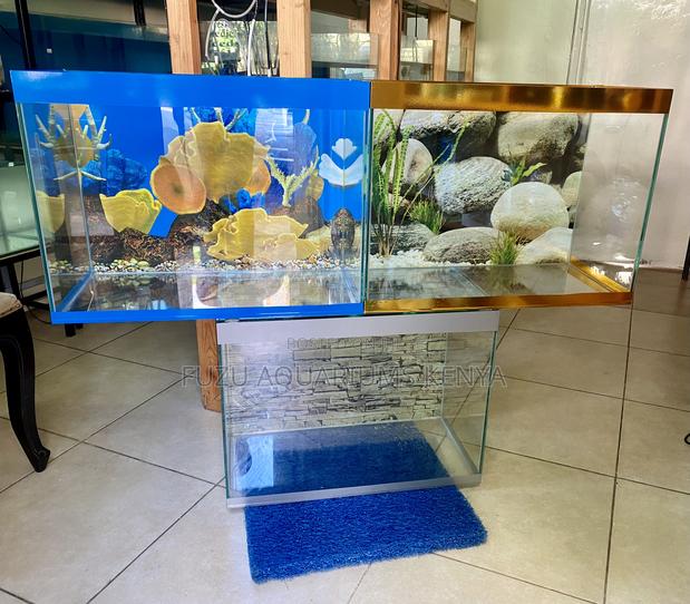 Home Décor That Swims 2ft Aquarium