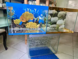 Meet Your New Favorite Hobby From a Range of These Aquariums