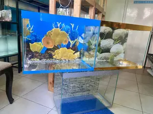 Beautiful Fish, Beautiful Aquariums