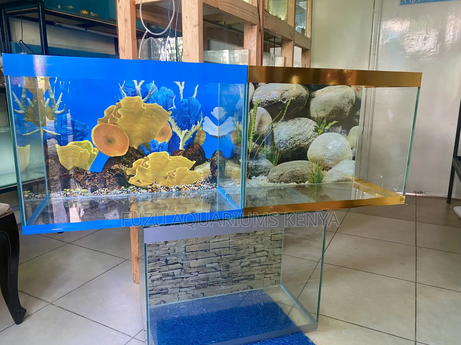 A Magical View Every Day From This Range of Aquariums