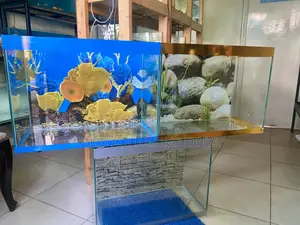 A Magical View Every Day From This Range of Aquariums