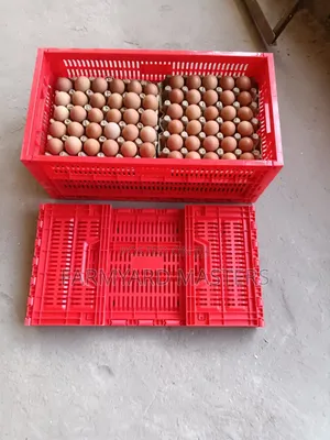 Egg Transportation Crates