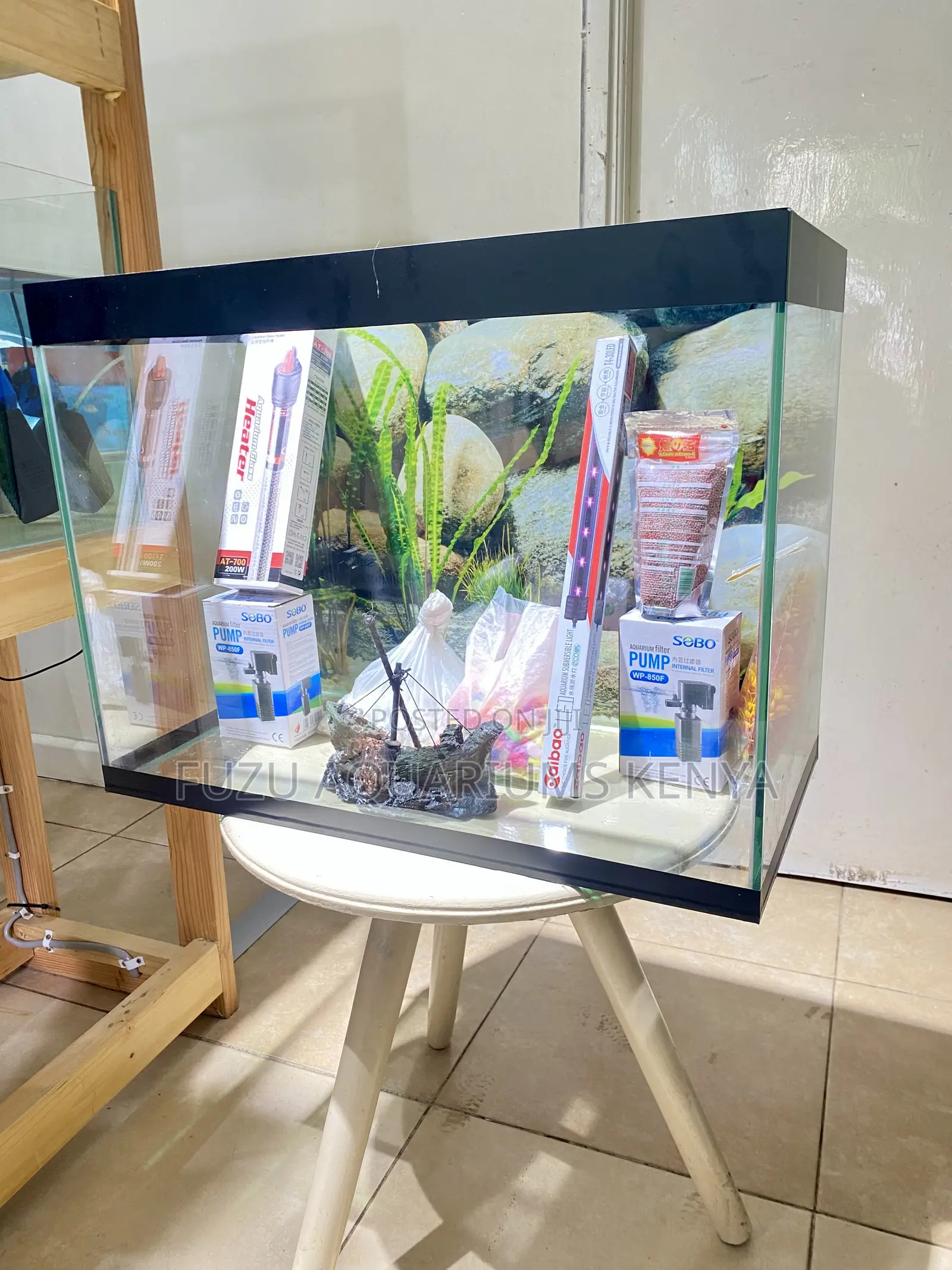 Bring Your Room to Life – Instantly With This Aquarium