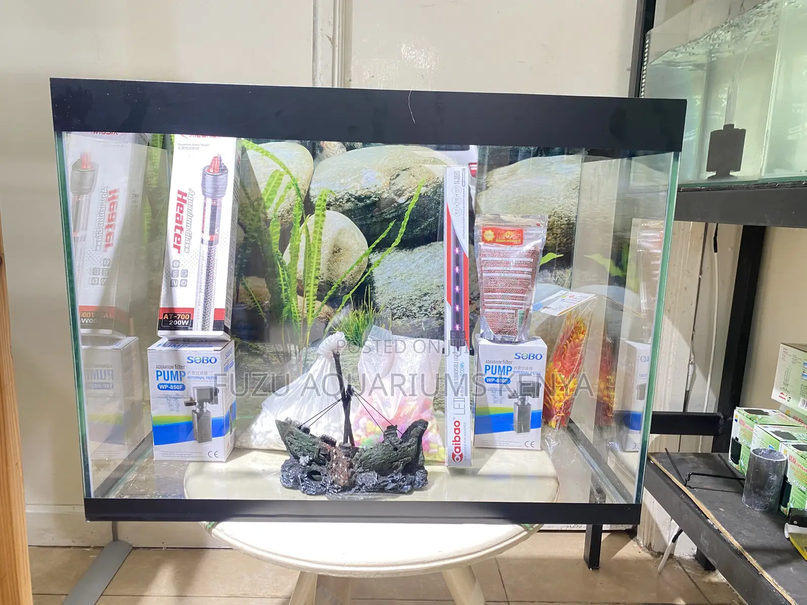 A Stunning Aquarium Setup for Your Home/Office