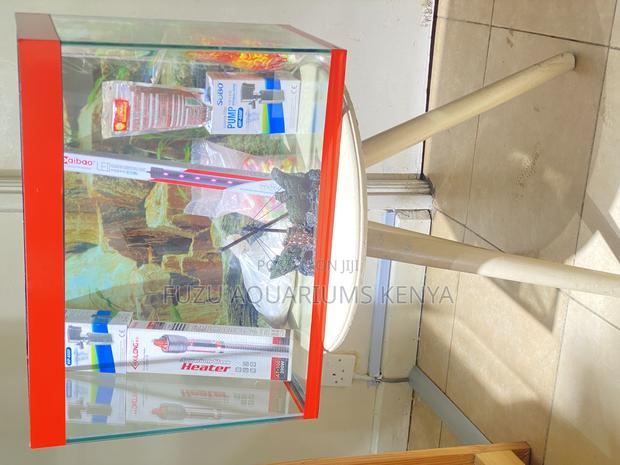 Aquarium Magic – Comes With Fish, Lights More
