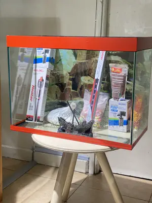 Brighten Up Your Room With Colorful Aquarium