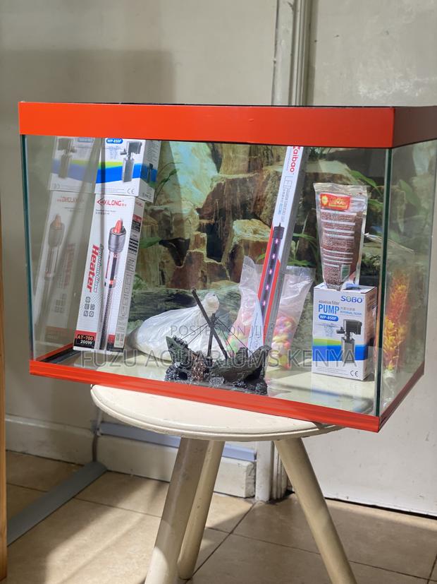 Brighten Up Your Room With Colorful Aquarium