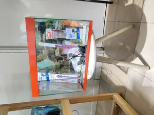 The Perfect Aquarium for Beginners Pros